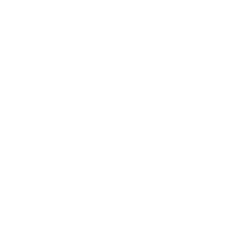 vonix